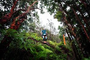 BIB: 
                            <button type="button" onclick="openModal(26202187)" class="btn btn-primary btn-sm float-right btn-popup" data-toggle="modal" data-target=".modal-high-quality">
                        <i class="fas fa-shopping-cart"></i> Add to Cart
                    </button>
                                            <button type="button" onclick="isThisMe(26202187, true)" class="btn btn-success btn-sm float-right btn-popup btn-isme hidden" data-toggle="tooltip" data-placement="bottom" title="นี่คือรูปของคุณใช่ไหม คลิกที่นี่เพื่อเอาเข้าอัลบั้ม">
                        <i class="fas fa-plus"></i> Add to album
                    </button>
                    <button type="button" onclick="isThisMe(26202187, false)" class="btn btn-warning btn-sm float-right btn-popup btn-isnotme hidden">
                        <i class="fas fa-ban"></i> Remove from album
                    </button>